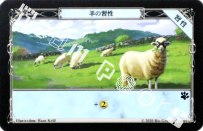 羊の習性